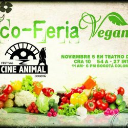 Eco-Feria Vegan próximo 5 de Noviembre del 2017