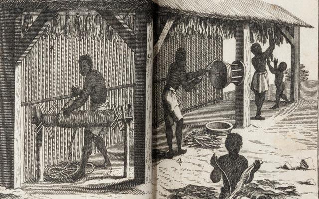 Huellas de la trata esclavista: un circuito por el Museo del Oro y el Museo de Arte Miguel Urrutia