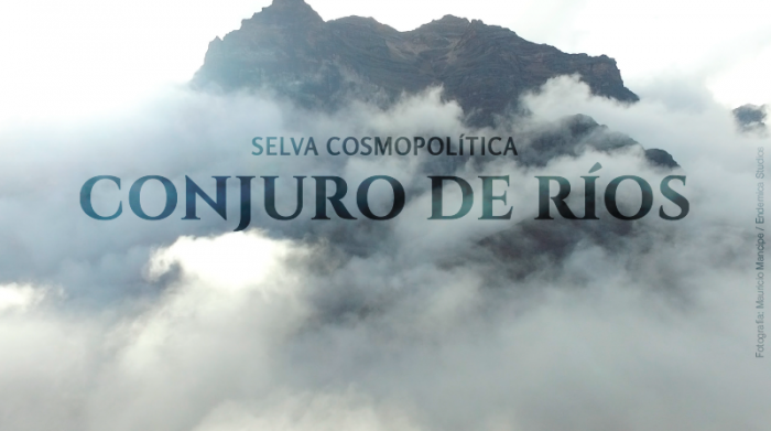 «Conjuro de ríos | Selva cosmopolítica» en el Museo de Arte de la Universidad Nacional de Colombia