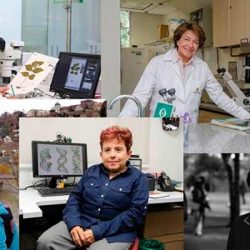 Un reconocimiento a las mujeres colombianas en la ciencia