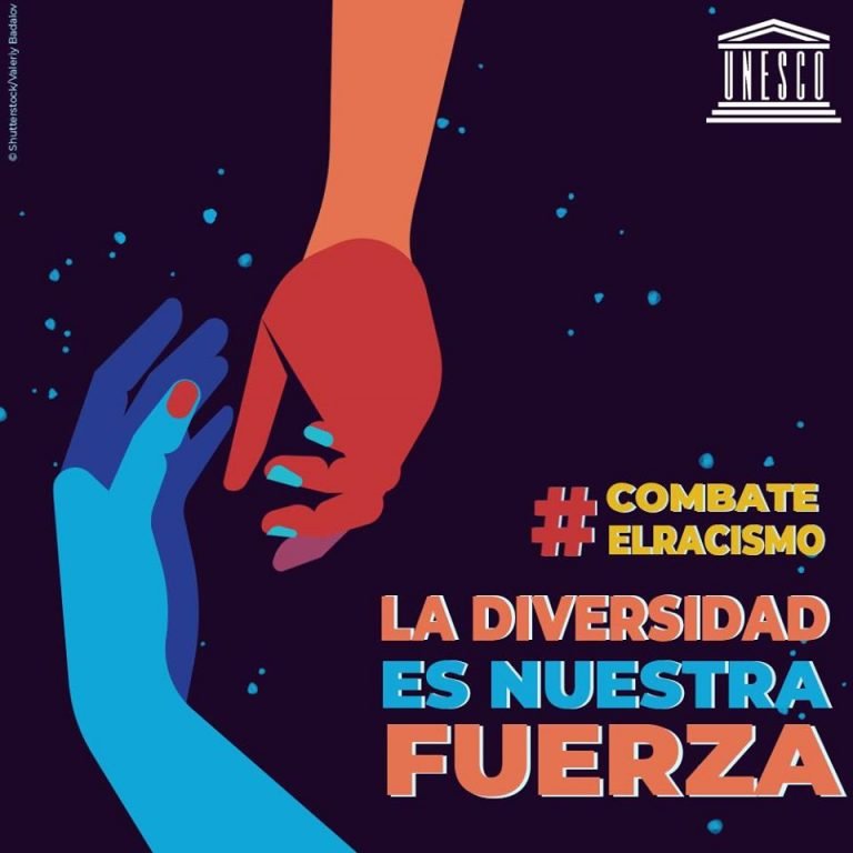 Convocan a presentar propuestas de acciones en Internet para la Erradicación del Racismo