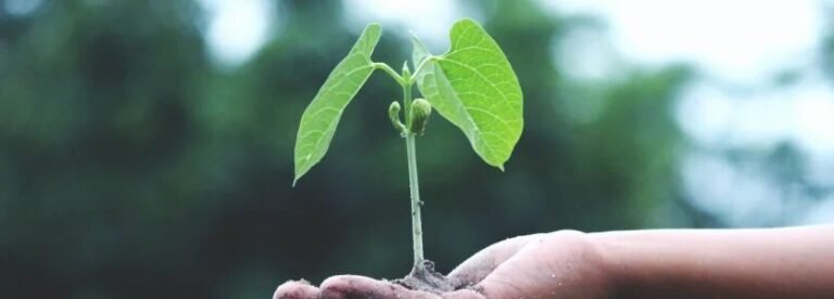 Inscríbete al curso virtual sobre Finanzas del Clima