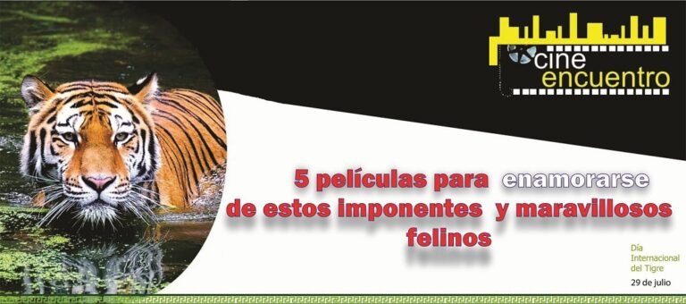 5 películas para enamorarse de estos imponentes y maravillosos felinos