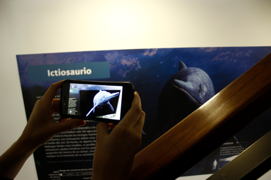 Museo Paleontológico de Villa de Leyva recorrerá Cundinamarca con exposición itinerante