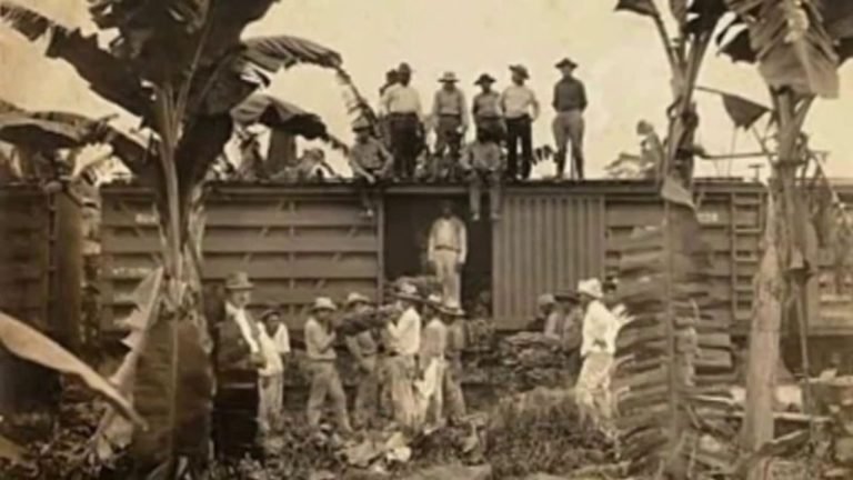 Mas Acres de las Bananeras y +