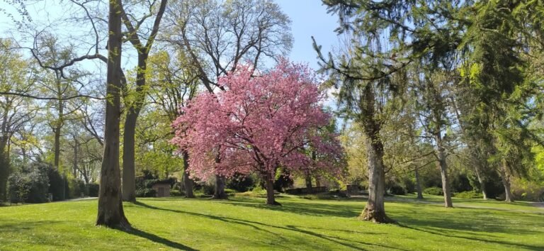 Una carta desde la primavera: el renacer de los sueños | Editorial abril 2025