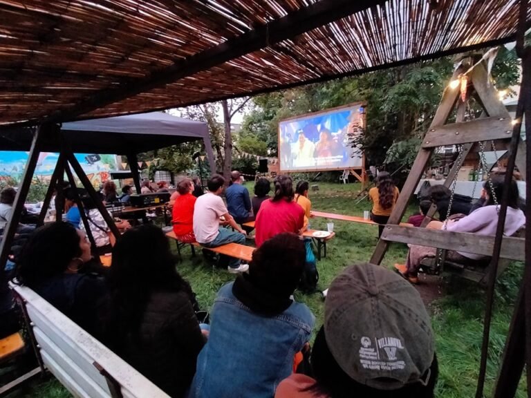 Festivales culturales como espacios de resistencia: una mirada desde la juventud colombiana