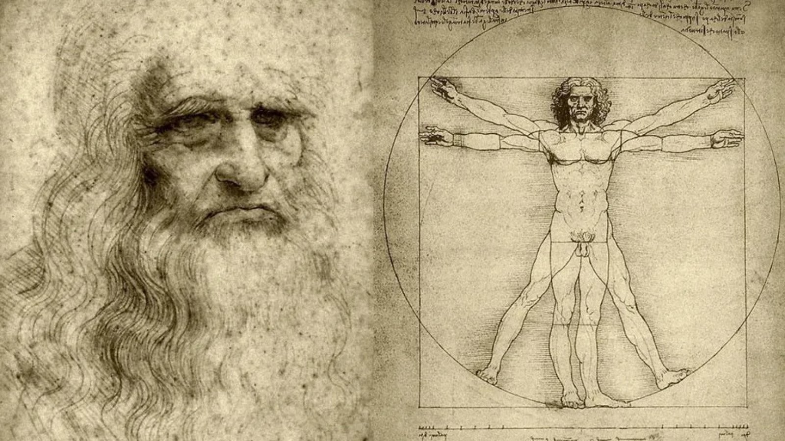 el_hombre_de_vitruvio_de_leonardo_da_vinci._uno_de_los_dibujos_mas_conocidos_de_toda_la_historia