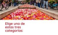 Bienal-BOG27 3