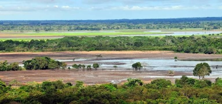 orinoquia